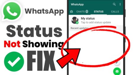 whatsapp status views not showing